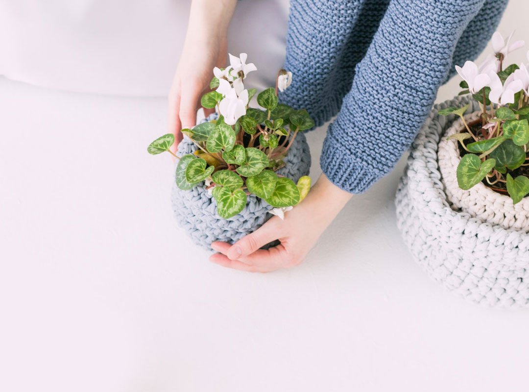 Toques de Miel — Proceso Natural